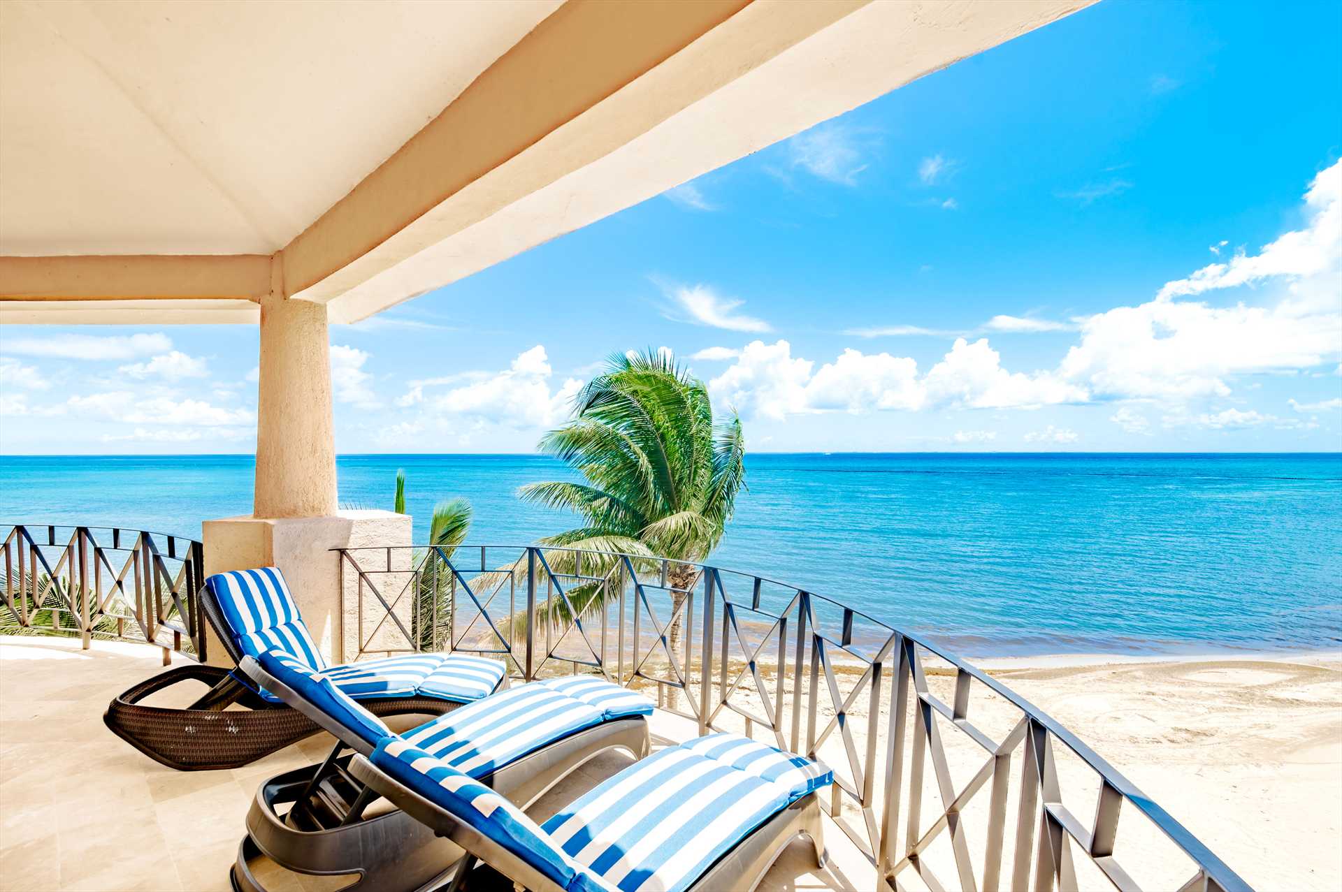 Tropical Landscaping 